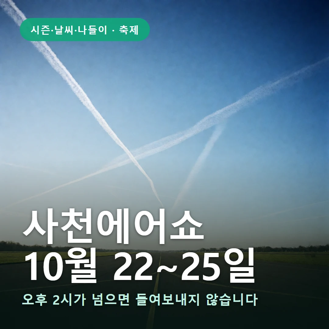 사천에어쇼 요약 표지 — 오후 2시가 넘으면 들여보내지 않습니다