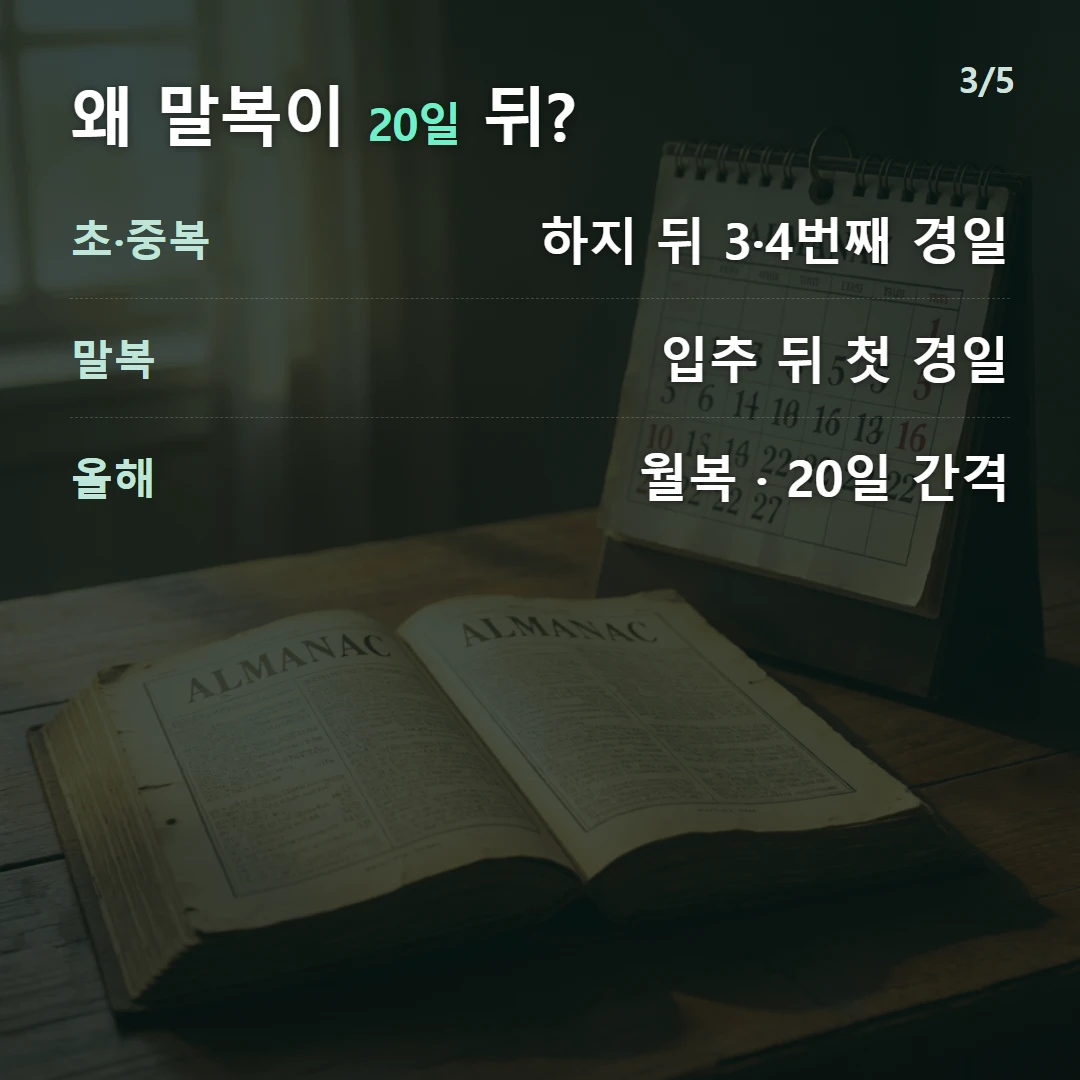 왜 말복이 20일 뒤? — 초·중복 하지 뒤 3·4번째 경일, 말복 입추 뒤 첫 경일, 올해 월복 · 20일 간격