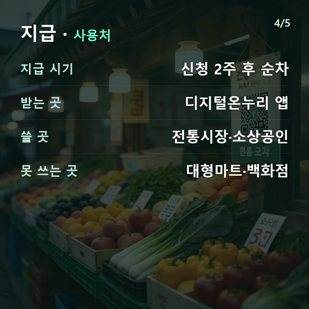 지급 · 사용처 — 지급 시기 신청 2주 후 순차, 받는 곳 디지털온누리 앱, 쓸 곳 전통시장·소상공인, 못 쓰는 곳 대형마트·백화점