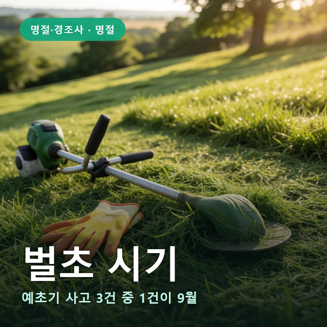 벌초 시기 요약 표지 — 예초기 사고 3건 중 1건이 9월