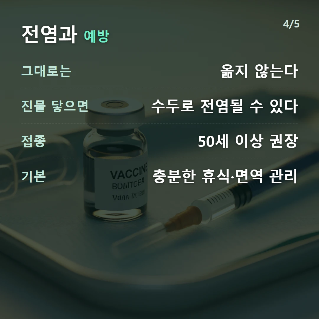 전염과 예방 — 그대로는 옮지 않는다, 진물 닿으면 수두로 전염될 수 있다, 접종 50세 이상 권장, 기본 충분한 휴식·면역 관리