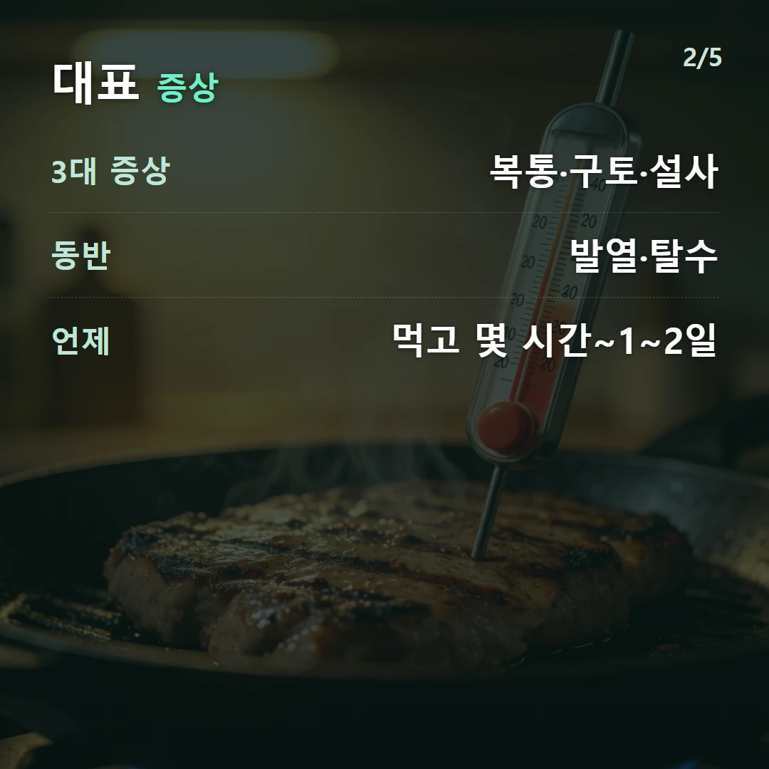 대표 증상 — 3대 증상 복통·구토·설사, 동반 발열·탈수, 언제 먹고 몇 시간~1~2일