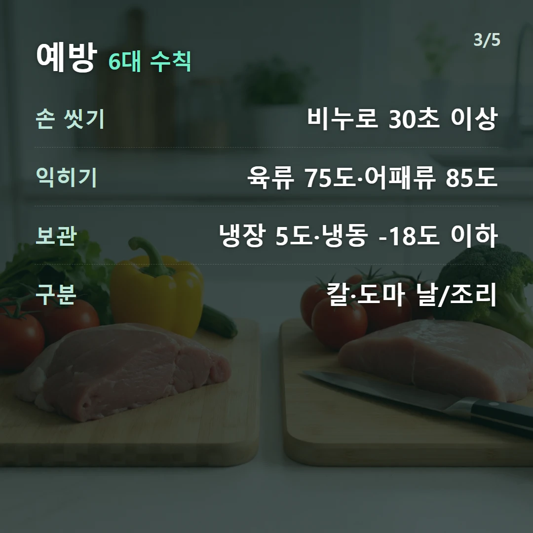 예방 6대 수칙 — 손 씻기 비누로 30초 이상, 익히기 육류 75도·어패류 85도, 보관 냉장 5도·냉동 -18도 이하, 구분 칼·도마 날/조리