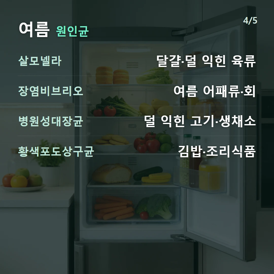 여름 원인균 — 살모넬라 달걀·덜 익힌 육류, 장염비브리오 여름 어패류·회, 병원성대장균 덜 익힌 고기·생채소, 황색포도상구균 김밥·조리식품