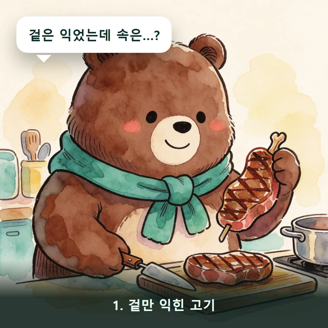 웹툰 1컷 — 1. 겉만 익힌 고기 (겉은 익었는데 속은…?)