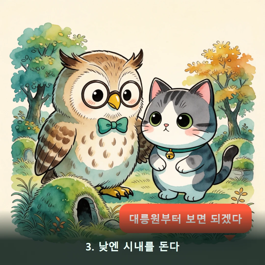 웹툰 3컷 — 3. 낮엔 시내를 돈다 (대릉원부터 보면 되겠다)