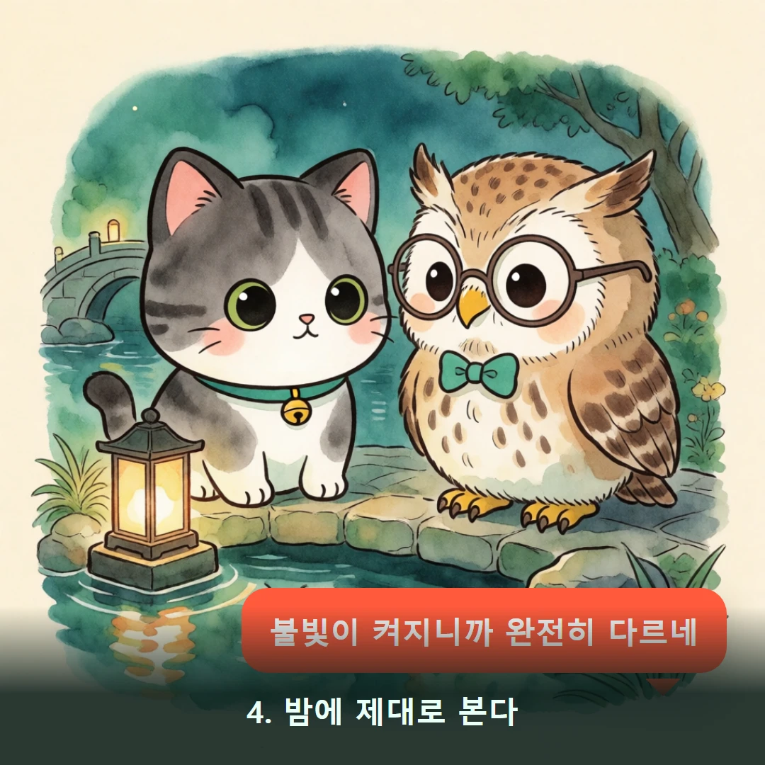 웹툰 4컷 — 4. 밤에 제대로 본다 (불빛이 켜지니까 완전히 다르네)