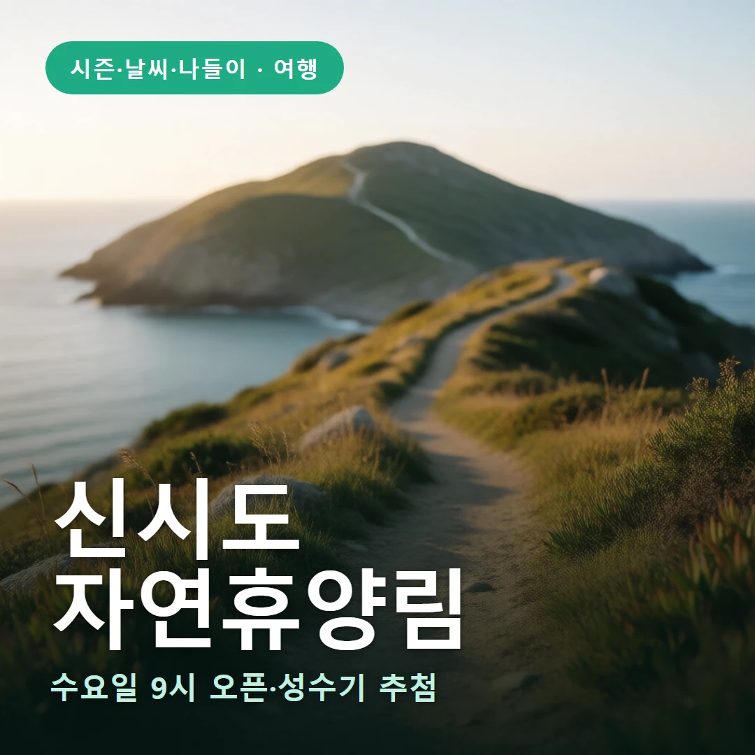 신시도 요약 표지 — 수요일 9시 오픈·성수기 추첨