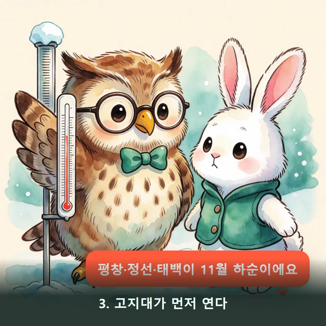 웹툰 3컷 — 3. 고지대가 먼저 연다 (평창·정선·태백이 11월 하순이에요)