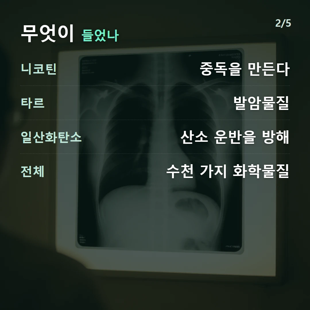 무엇이 들었나 — 니코틴 중독을 만든다, 타르 발암물질, 일산화탄소 산소 운반을 방해, 전체 수천 가지 화학물질