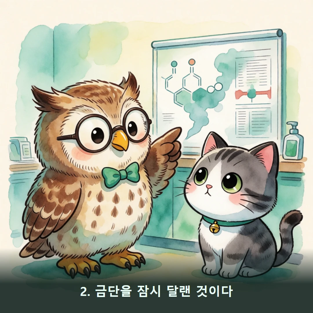 웹툰 2컷 — 2. 금단을 잠시 달랜 것이다