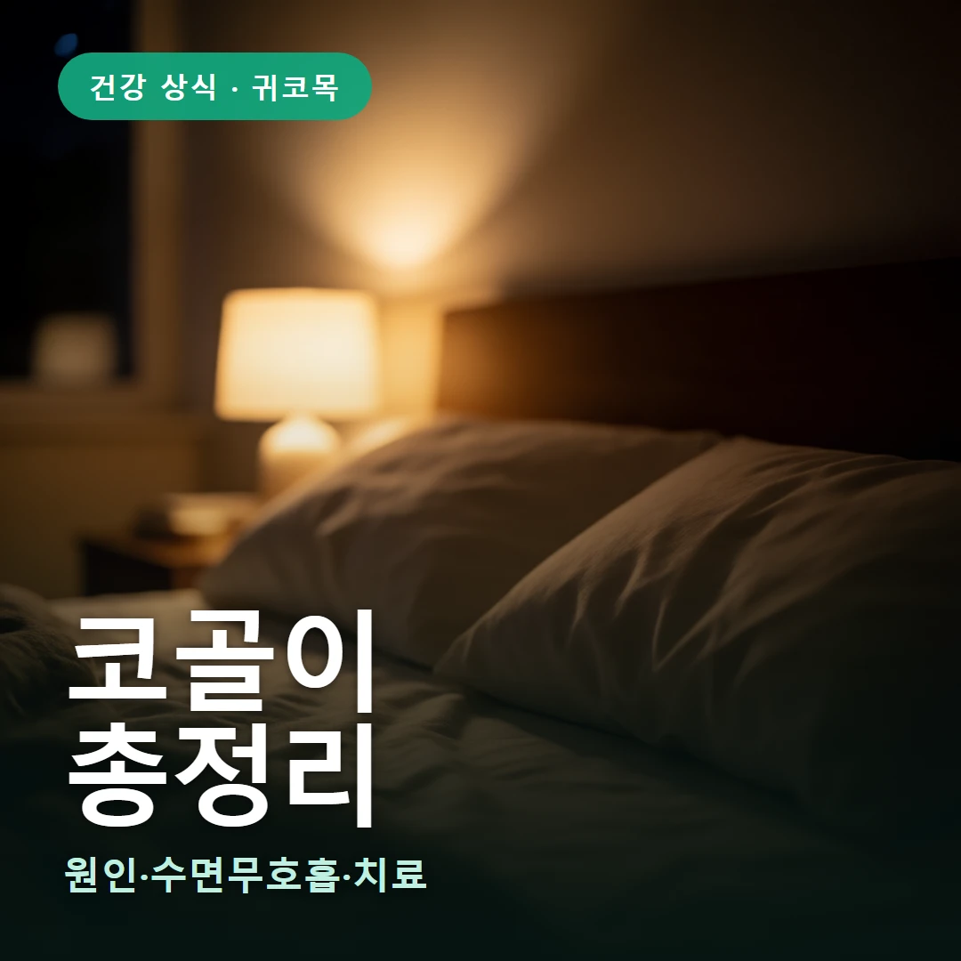 코골이 요약 표지 — 원인·수면무호흡·치료