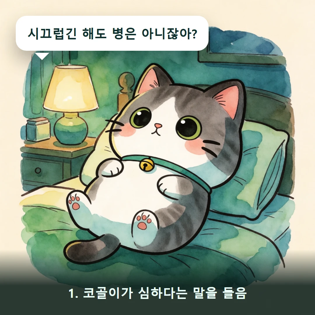 웹툰 1컷 — 1. 코골이가 심하다는 말을 들음 (시끄럽긴 해도 병은 아니잖아?)