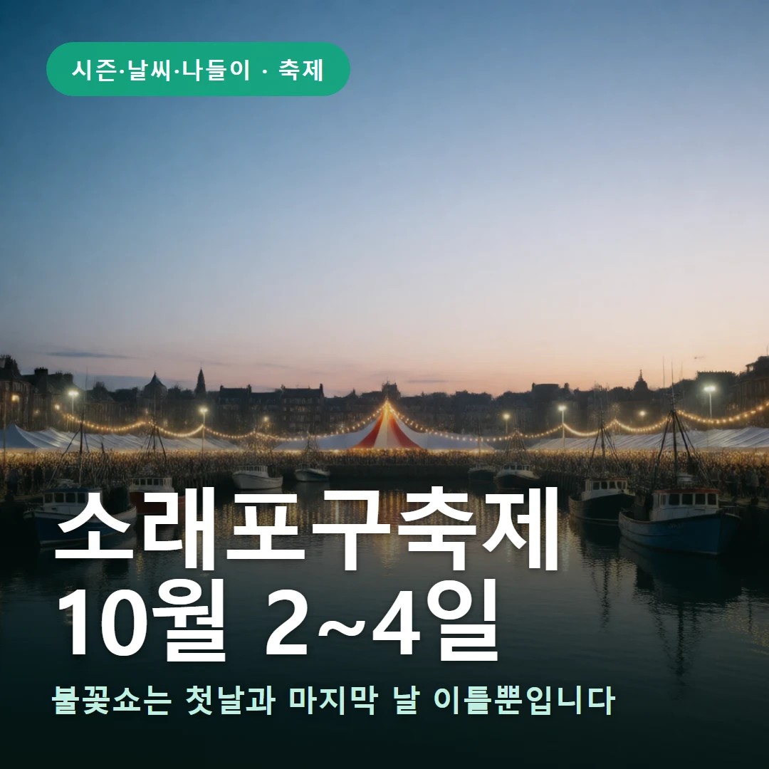 소래포구축제 요약 표지 — 불꽃쇼는 첫날과 마지막 날 이틀뿐입니다