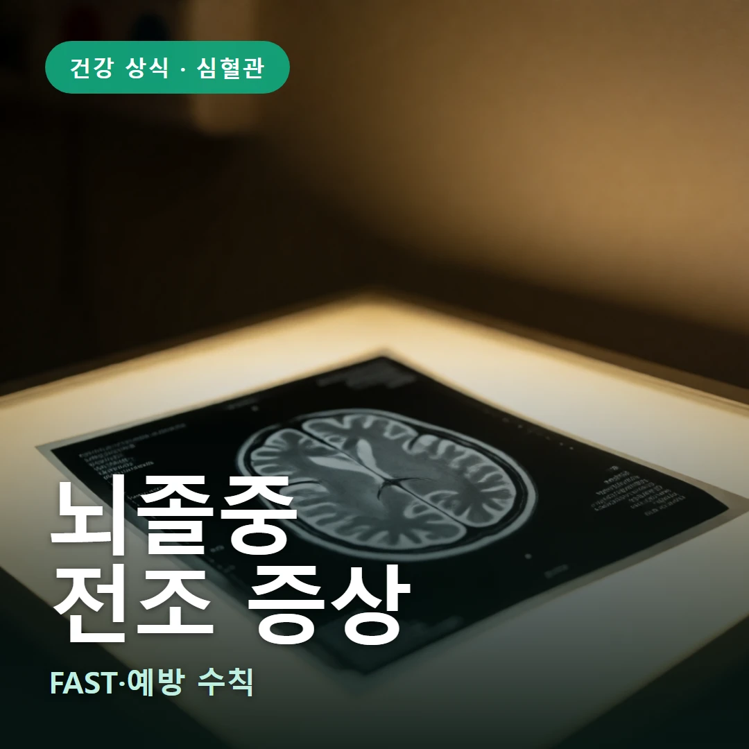 뇌졸중 요약 표지 — FAST·예방 수칙
