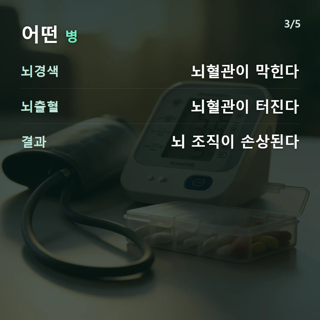 어떤 병 — 뇌경색 뇌혈관이 막힌다, 뇌출혈 뇌혈관이 터진다, 결과 뇌 조직이 손상된다