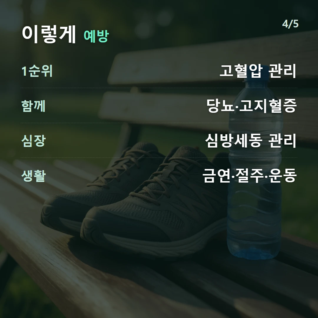 이렇게 예방 — 1순위 고혈압 관리, 함께 당뇨·고지혈증, 심장 심방세동 관리, 생활 금연·절주·운동