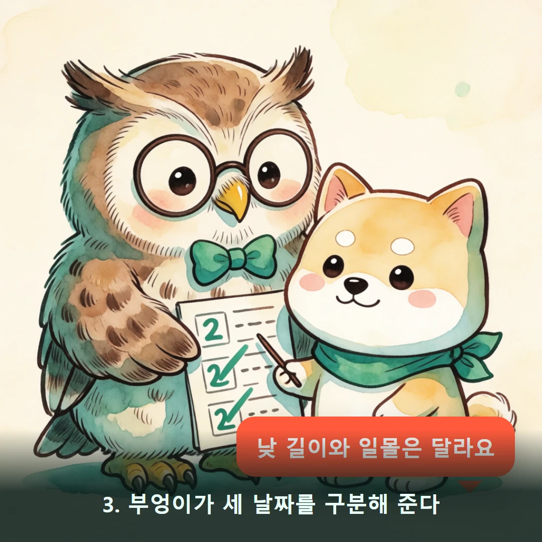 웹툰 3컷 — 3. 부엉이가 세 날짜를 구분해 준다 (낮 길이와 일몰은 달라요)
