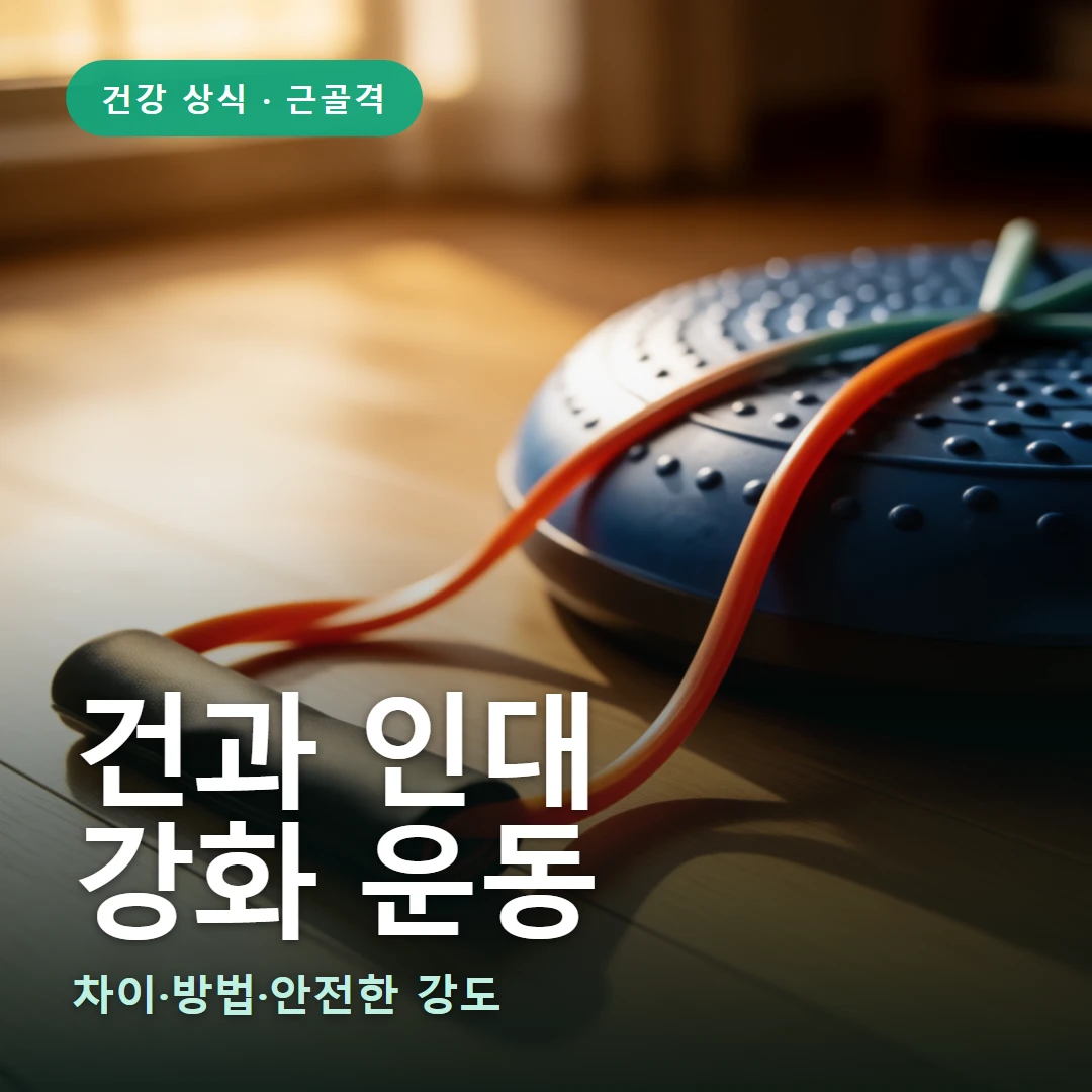건과 인대 요약 표지 — 차이·방법·안전한 강도