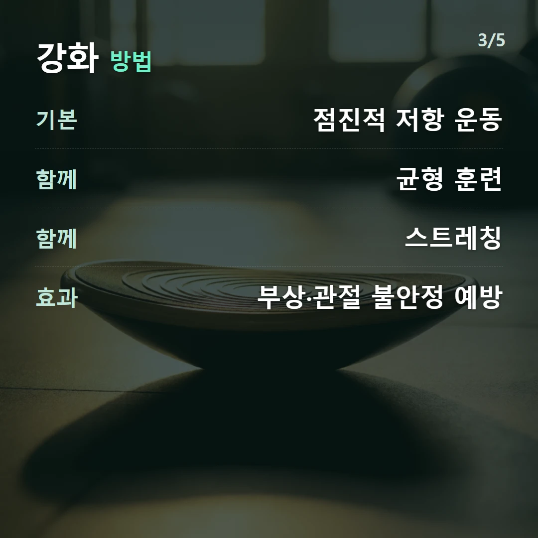강화 방법 — 기본 점진적 저항 운동, 함께 균형 훈련, 함께 스트레칭, 효과 부상·관절 불안정 예방