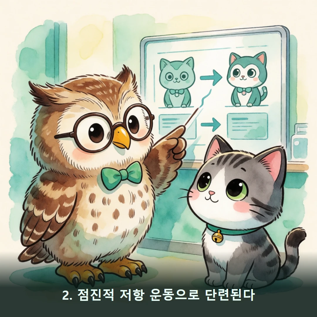 웹툰 2컷 — 2. 점진적 저항 운동으로 단련된다
