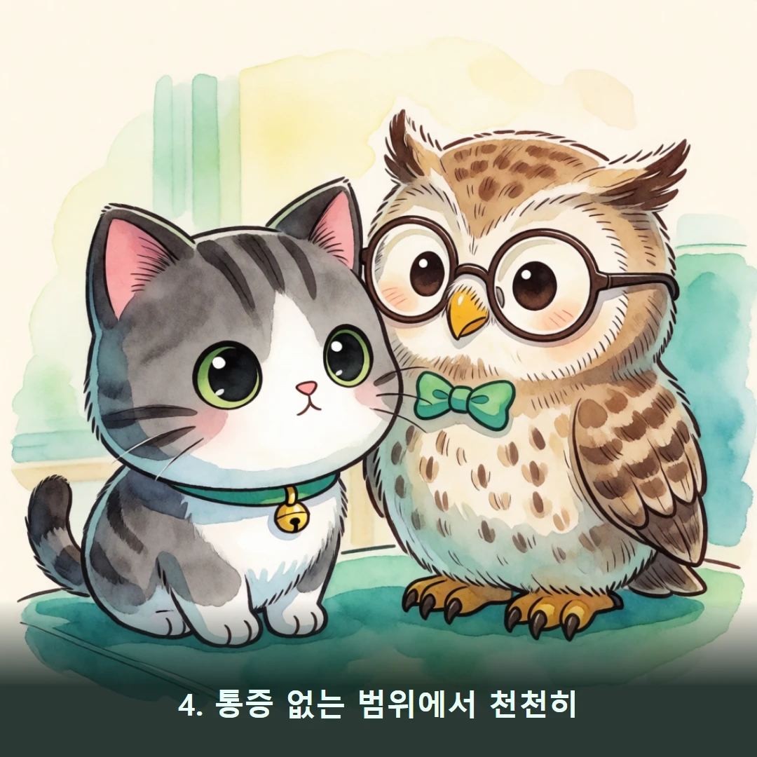 웹툰 4컷 — 4. 통증 없는 범위에서 천천히