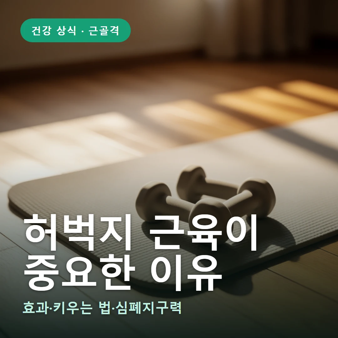 허벅지 근육이 요약 표지 — 효과·키우는 법·심폐지구력