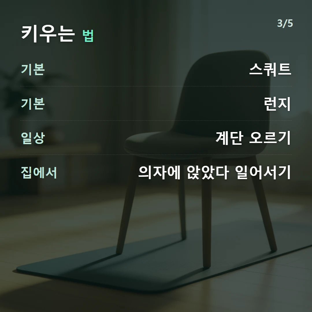 키우는 법 — 기본 스쿼트, 기본 런지, 일상 계단 오르기, 집에서 의자에 앉았다 일어서기