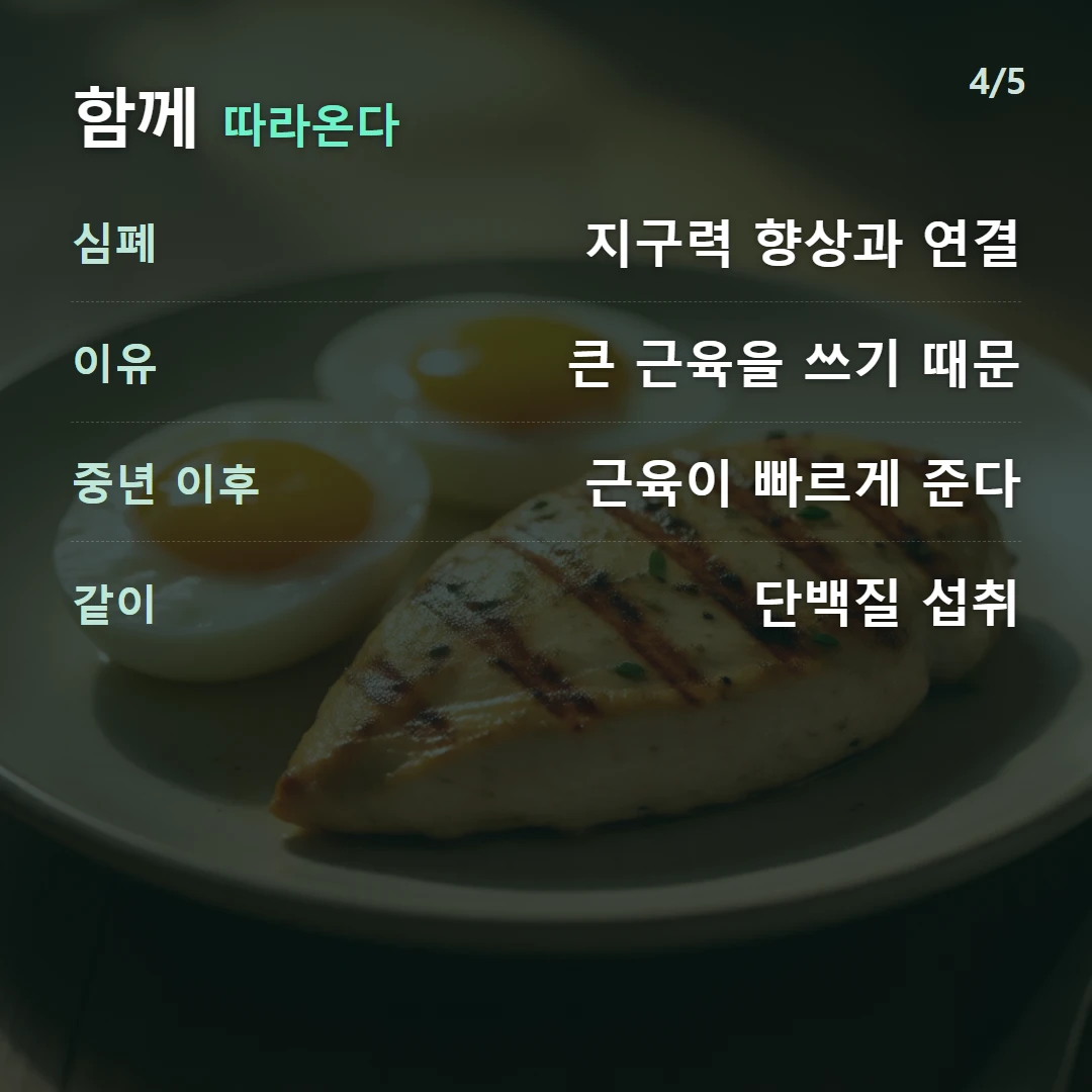 함께 따라온다 — 심폐 지구력 향상과 연결, 이유 큰 근육을 쓰기 때문, 중년 이후 근육이 빠르게 준다, 같이 단백질 섭취