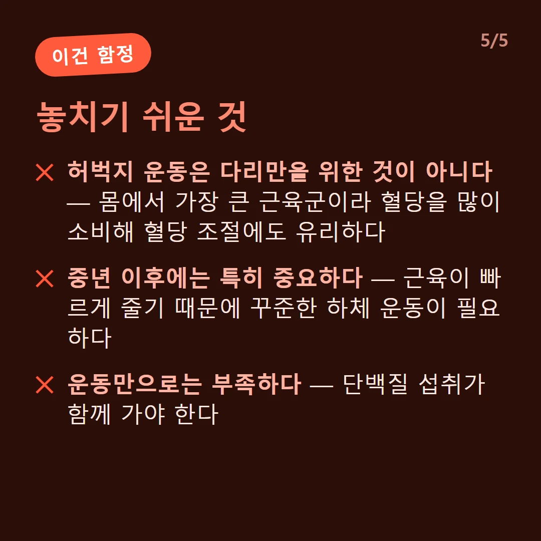 놓치기 쉬운 것 — 허벅지 운동은 다리만을 위한 것이 아니다 — 몸에서 가장 큰 근육군이라 혈당을 많이 소비해 혈당 조절에도 유리하다 / 중년 이후에는 특히 중요하다 — 근육이 빠르게 줄기 때문에 꾸준한 하체 운동이 필요하다 / 운동만으로는 부족하다 — 단백질 섭취가 함께 가야 한다