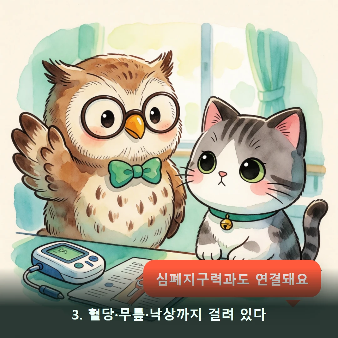 웹툰 3컷 — 3. 혈당·무릎·낙상까지 걸려 있다 (심폐지구력과도 연결돼요)