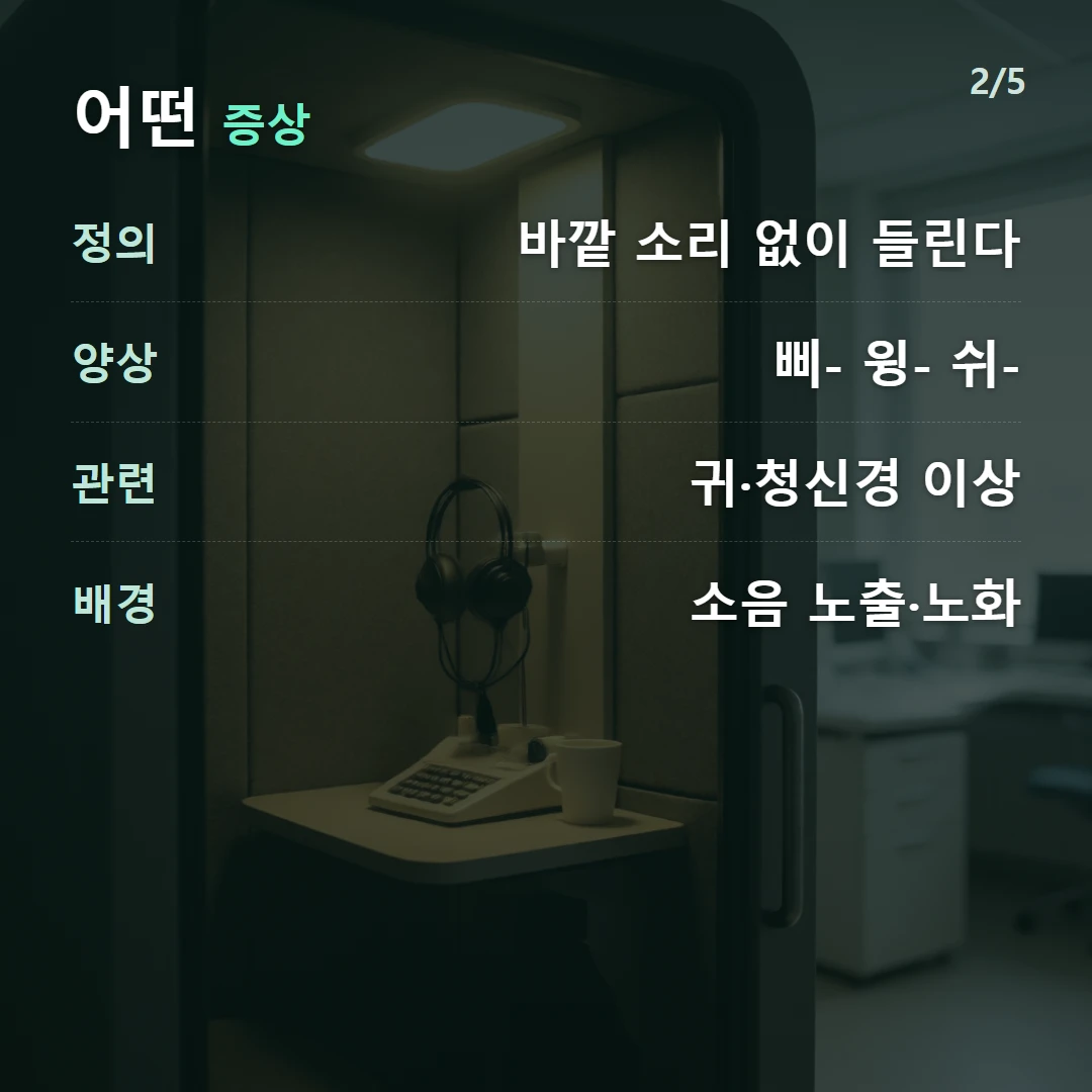 어떤 증상 — 정의 바깥 소리 없이 들린다, 양상 삐- 윙- 쉬-, 관련 귀·청신경 이상, 배경 소음 노출·노화