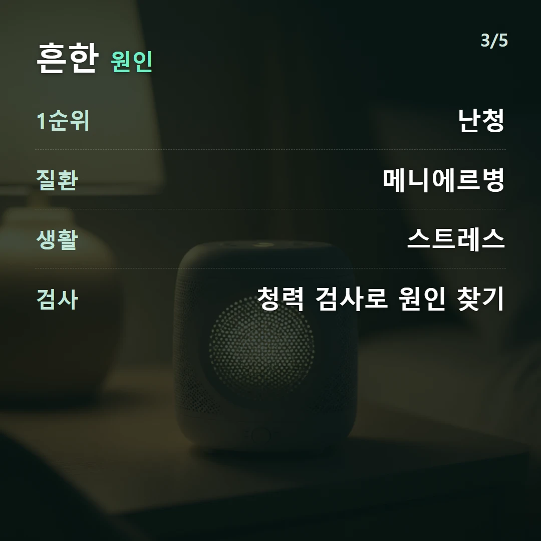흔한 원인 — 1순위 난청, 질환 메니에르병, 생활 스트레스, 검사 청력 검사로 원인 찾기