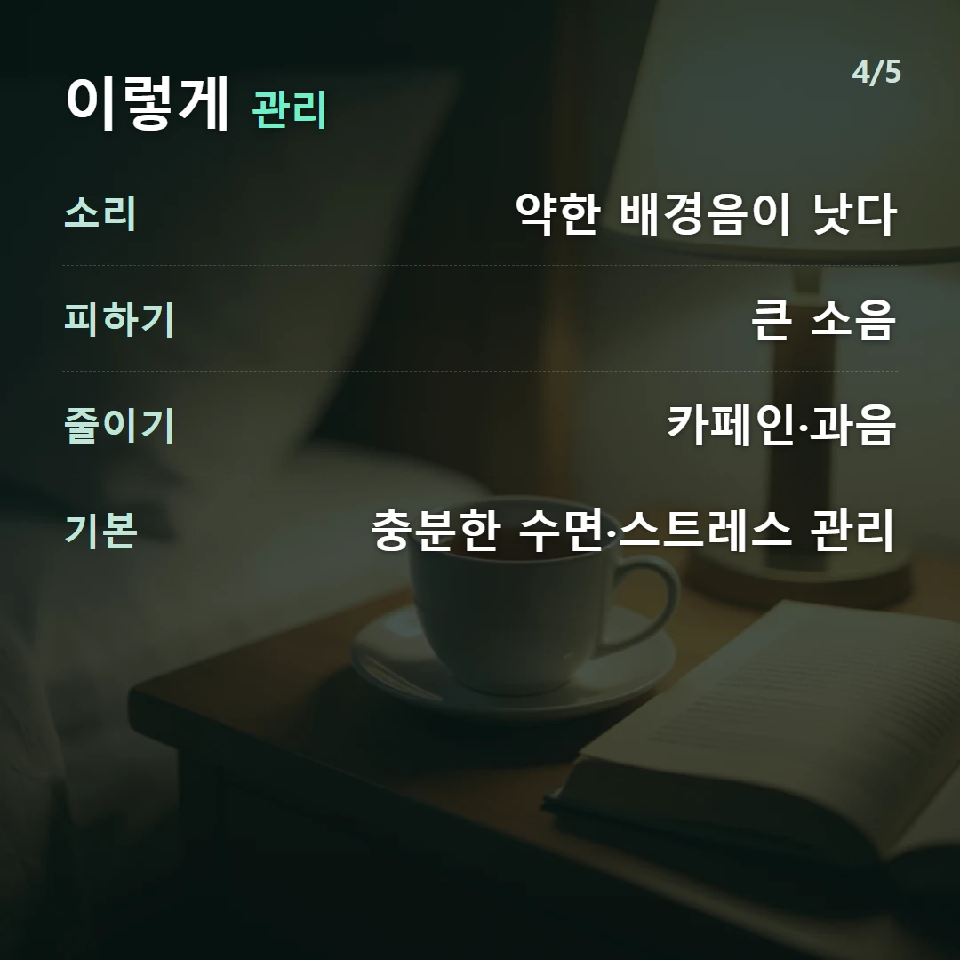 이렇게 관리 — 소리 약한 배경음이 낫다, 피하기 큰 소음, 줄이기 카페인·과음, 기본 충분한 수면·스트레스 관리