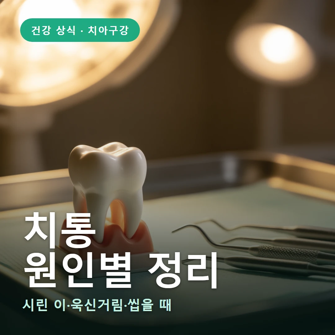 치통 요약 표지 — 시린 이·욱신거림·씹을 때