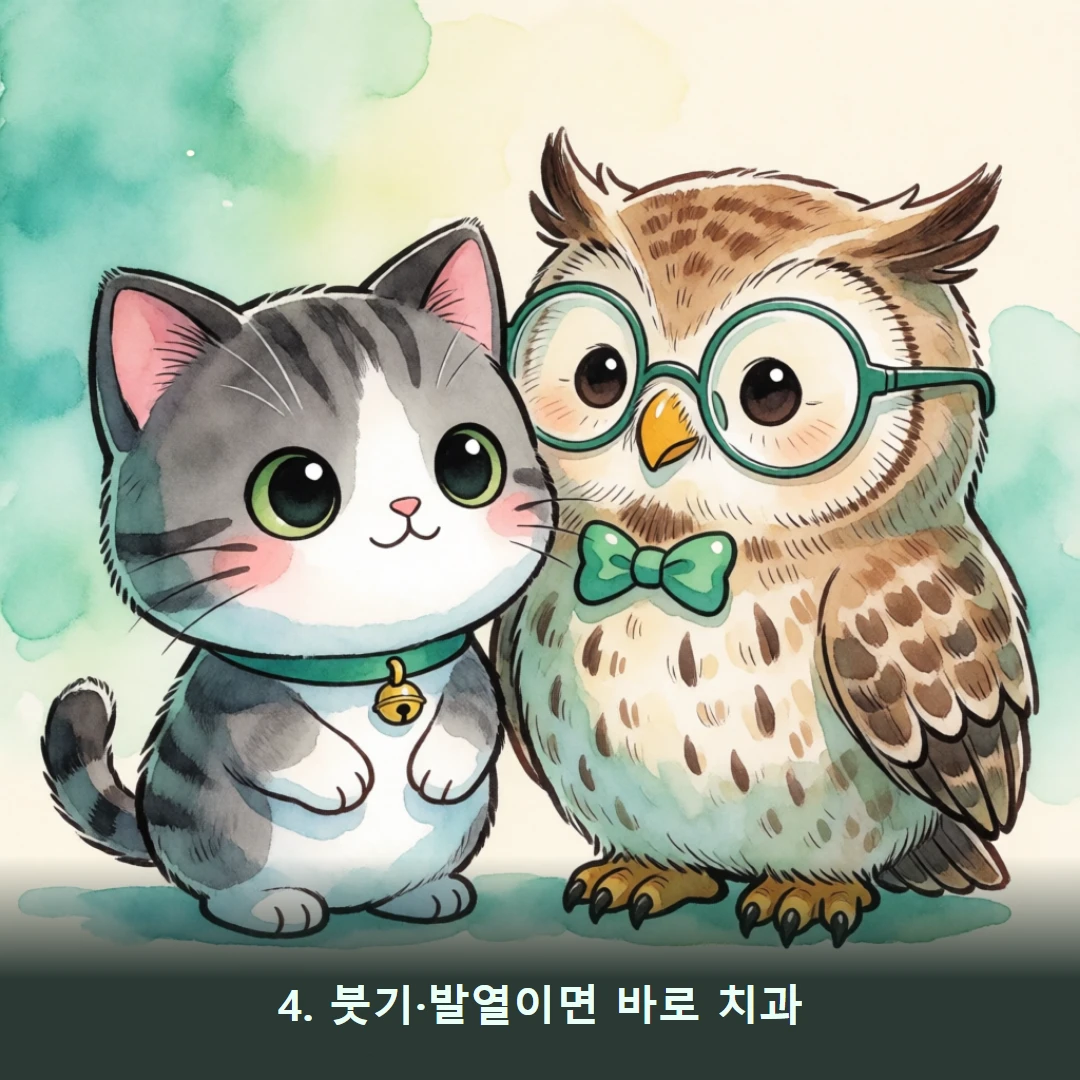웹툰 4컷 — 4. 붓기·발열이면 바로 치과
