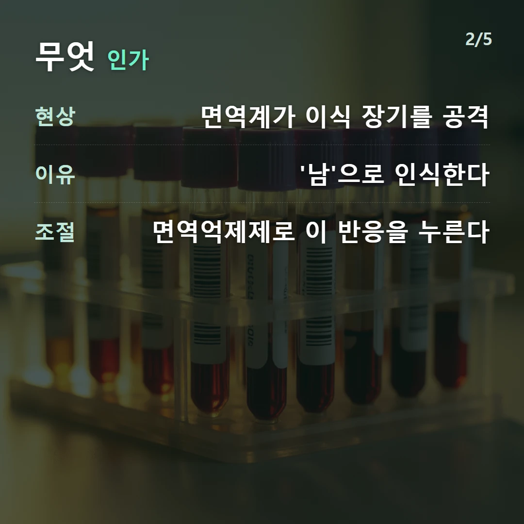 무엇 인가 — 현상 면역계가 이식 장기를 공격, 이유 '남'으로 인식한다, 조절 면역억제제로 이 반응을 누른다