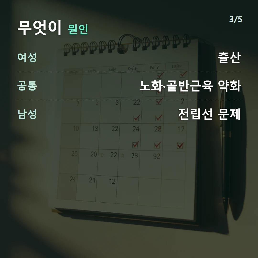 무엇이 원인 — 여성 출산, 공통 노화·골반근육 약화, 남성 전립선 문제