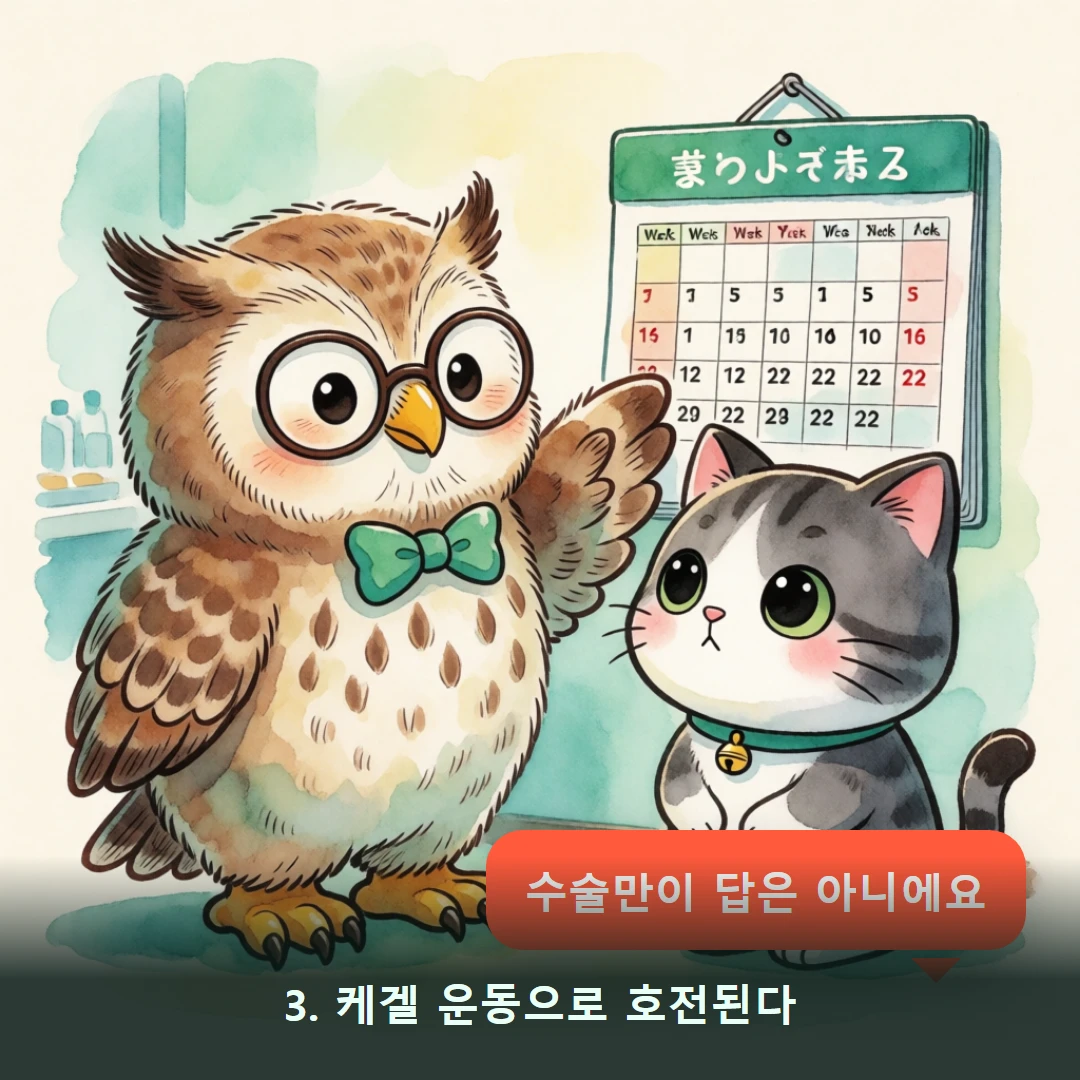웹툰 3컷 — 3. 케겔 운동으로 호전된다 (수술만이 답은 아니에요)