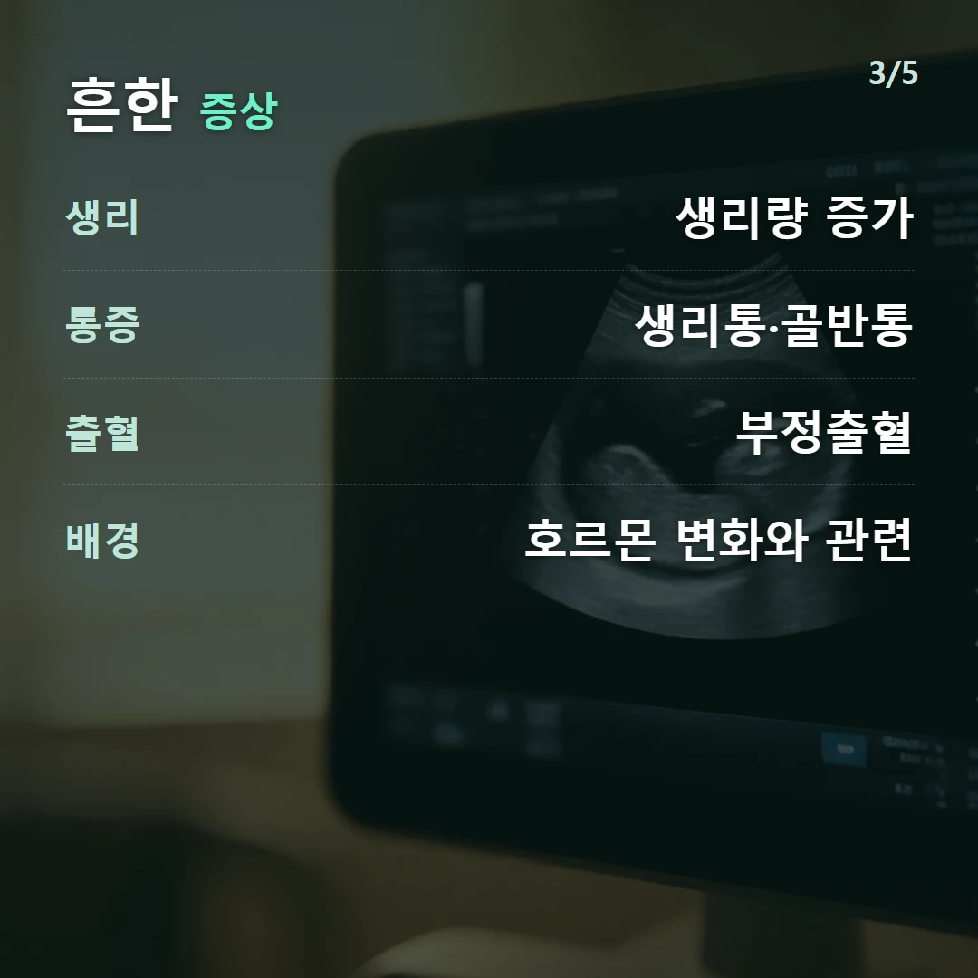흔한 증상 — 생리 생리량 증가, 통증 생리통·골반통, 출혈 부정출혈, 배경 호르몬 변화와 관련