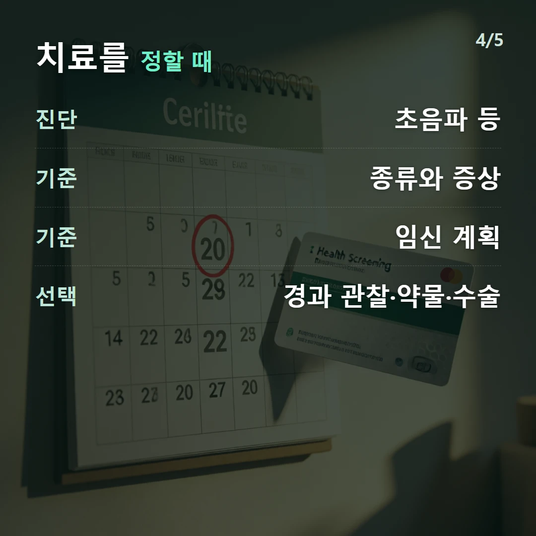 치료를 정할 때 — 진단 초음파 등, 기준 종류와 증상, 기준 임신 계획, 선택 경과 관찰·약물·수술