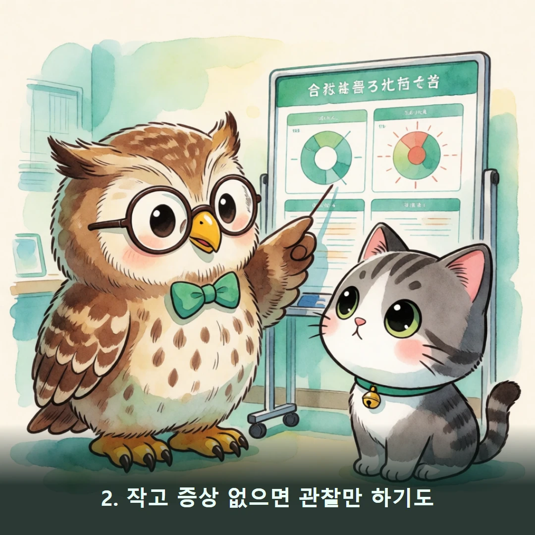 웹툰 2컷 — 2. 작고 증상 없으면 관찰만 하기도