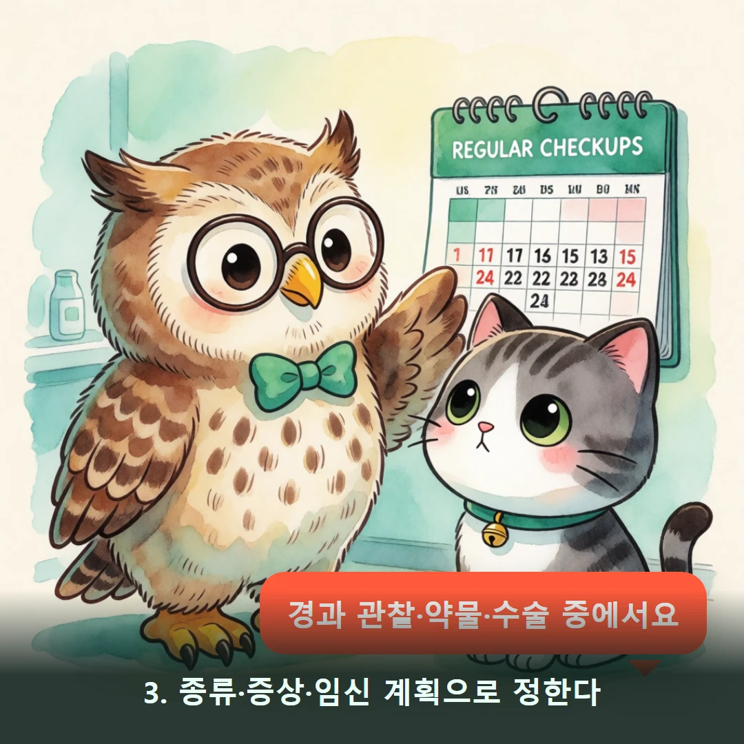 웹툰 3컷 — 3. 종류·증상·임신 계획으로 정한다 (경과 관찰·약물·수술 중에서요)