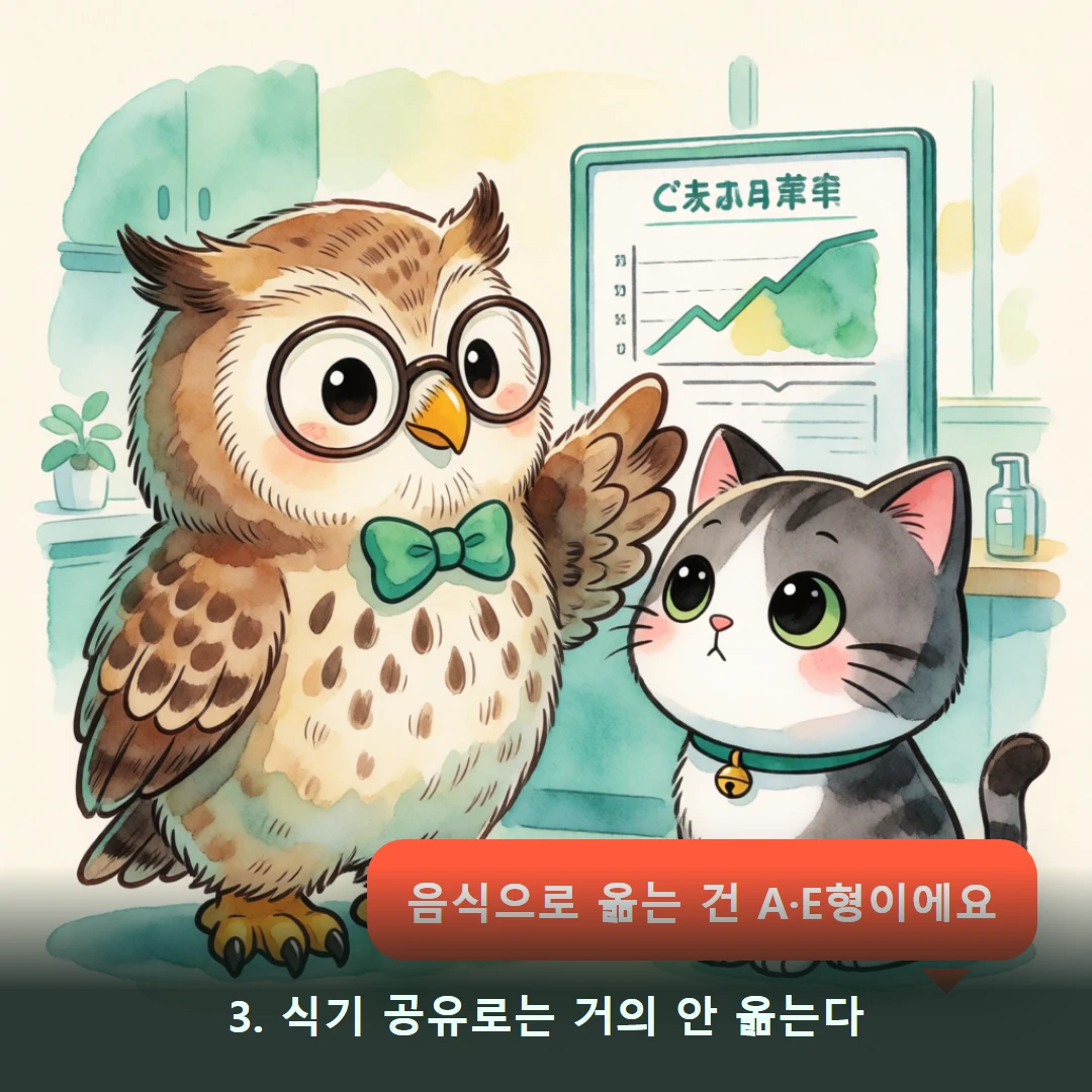웹툰 3컷 — 3. 식기 공유로는 거의 안 옮는다 (음식으로 옮는 건 A·E형이에요)