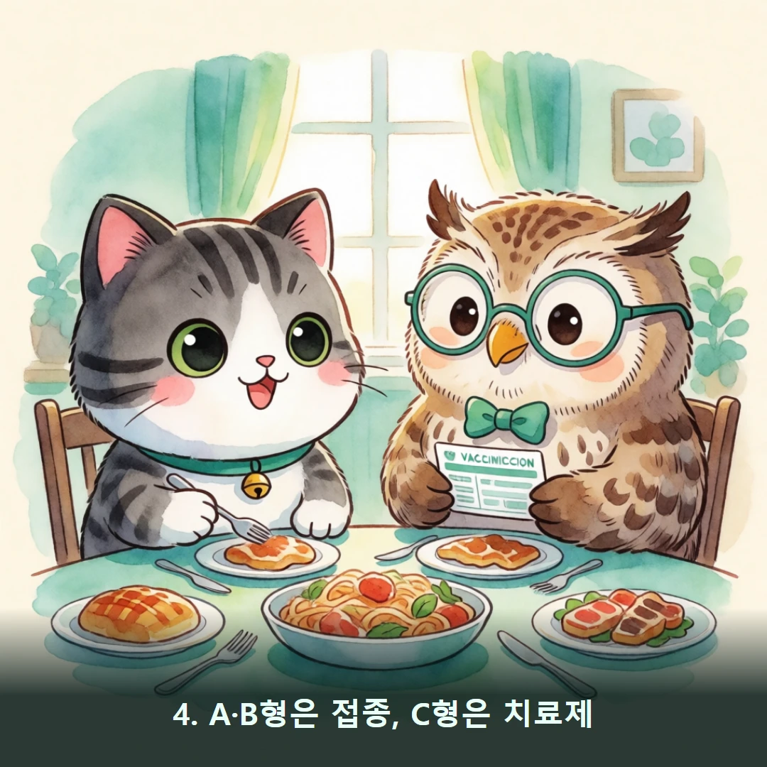 웹툰 4컷 — 4. A·B형은 접종, C형은 치료제