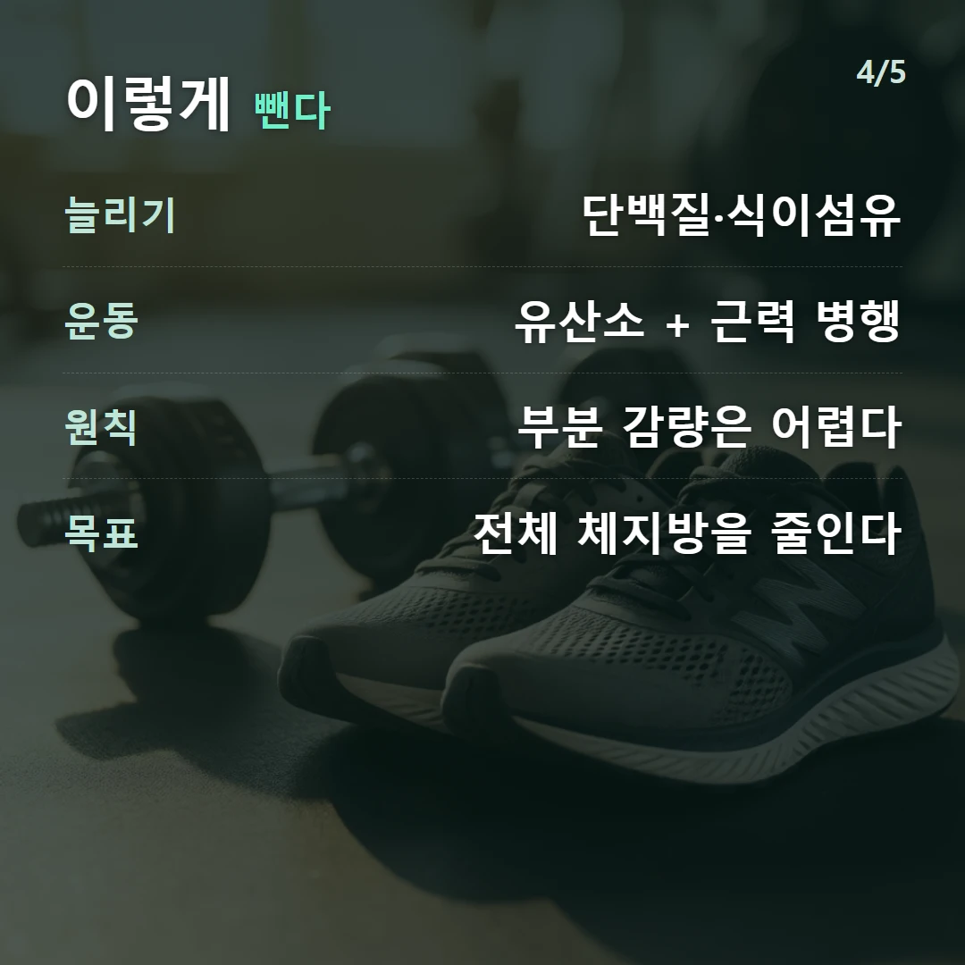 이렇게 뺀다 — 늘리기 단백질·식이섬유, 운동 유산소 + 근력 병행, 원칙 부분 감량은 어렵다, 목표 전체 체지방을 줄인다