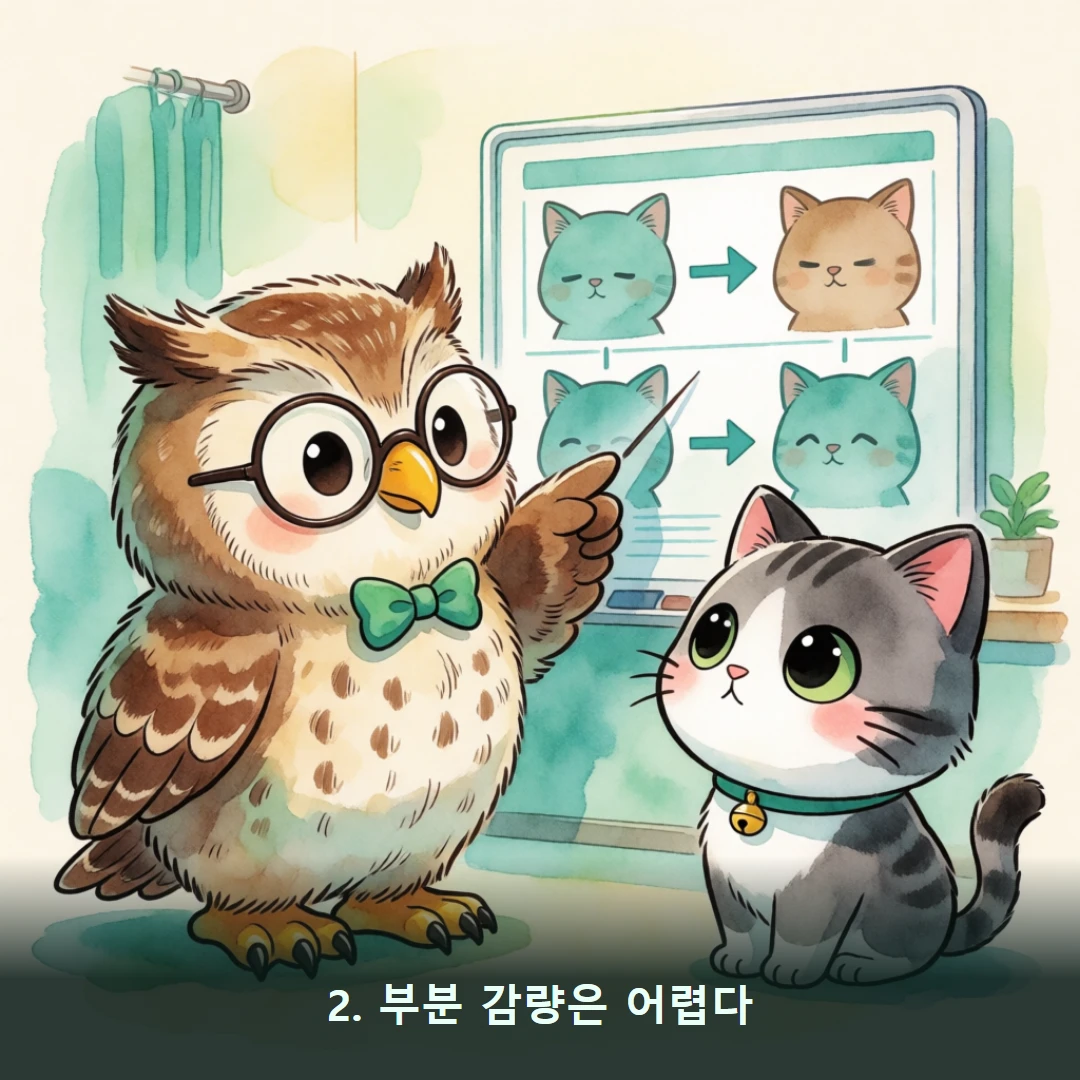 웹툰 2컷 — 2. 부분 감량은 어렵다