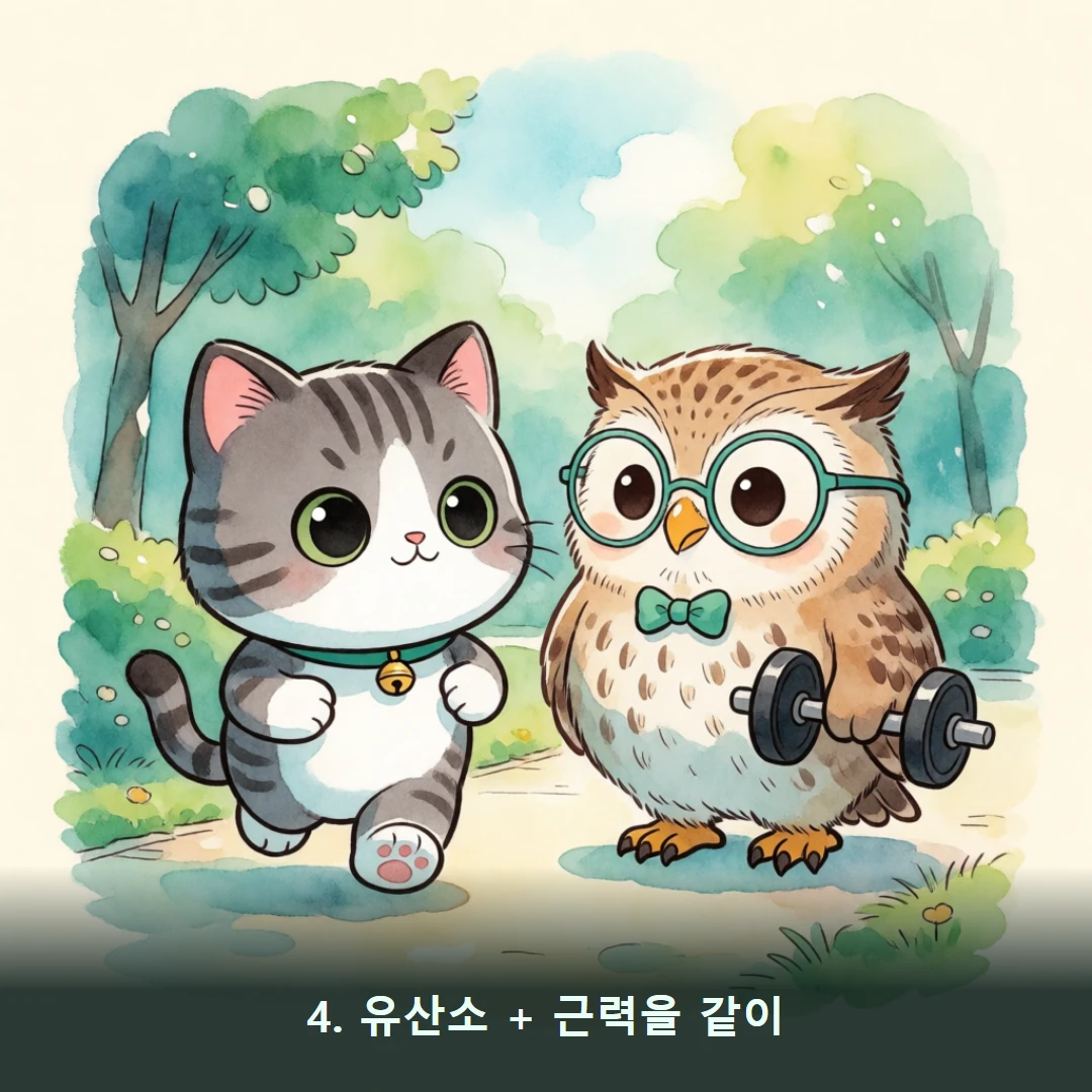 웹툰 4컷 — 4. 유산소 + 근력을 같이