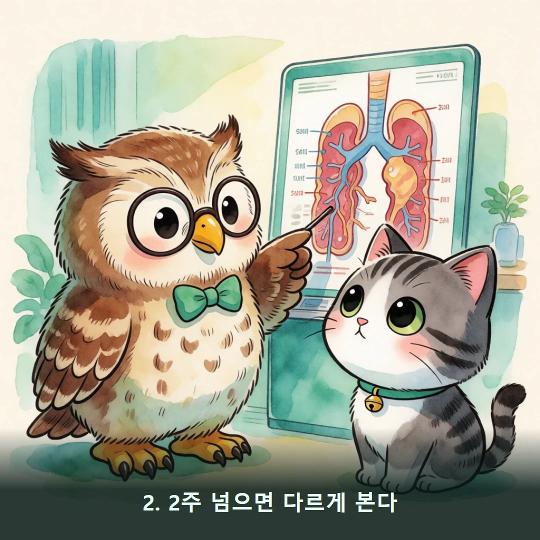 웹툰 2컷 — 2. 2주 넘으면 다르게 본다