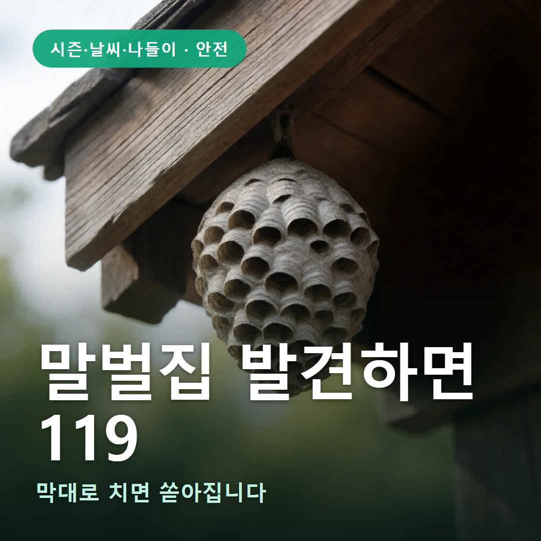 말벌집 제거 요약 표지 — 막대로 치면 쏟아집니다